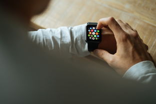 乐鱼娱乐app-智能穿戴设备在运动健康监测中的应用研究，智能穿戴的测试要点