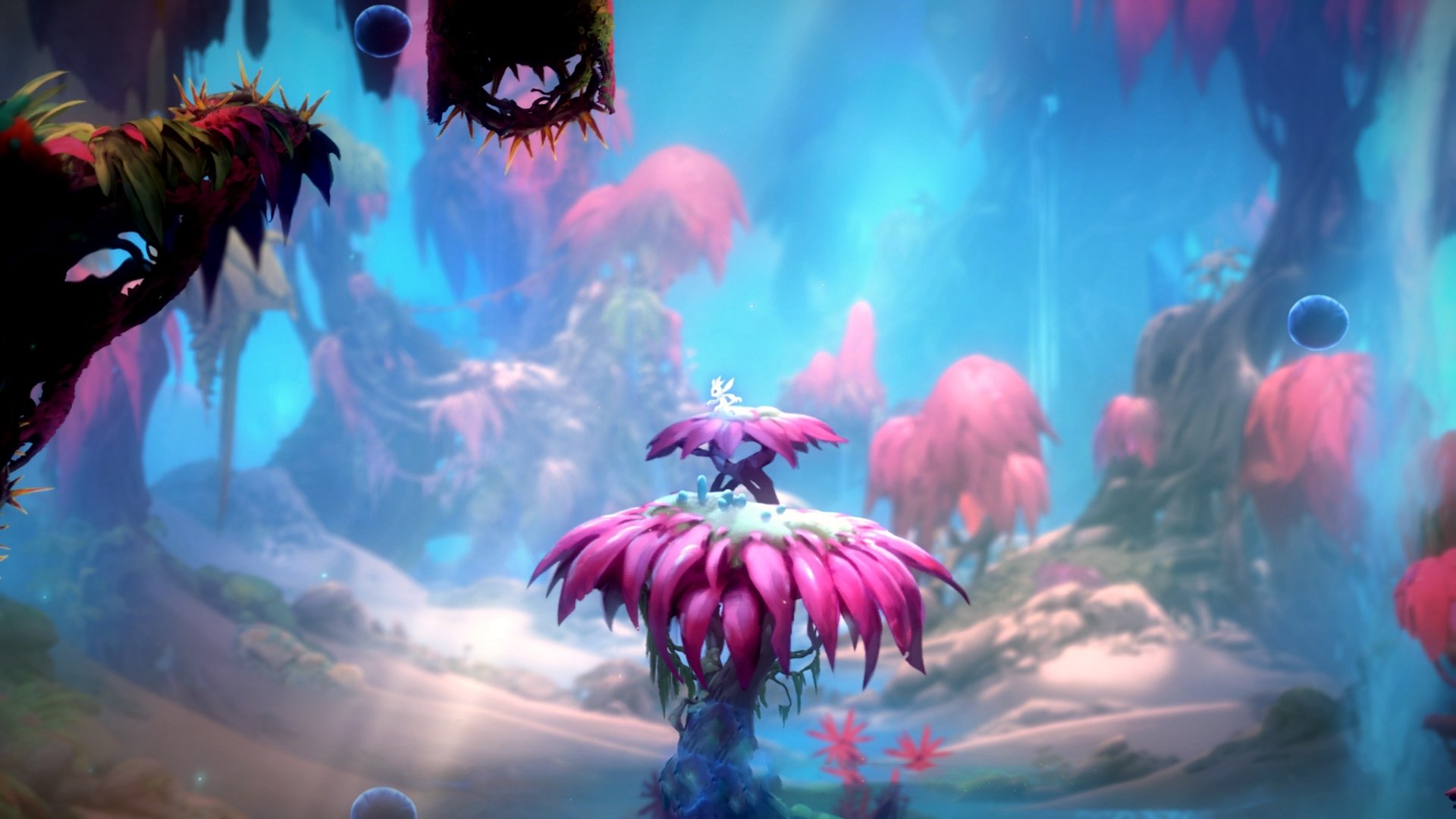 国际象棋中国锦标赛女选手发挥稳定,国际象棋女子中国选手