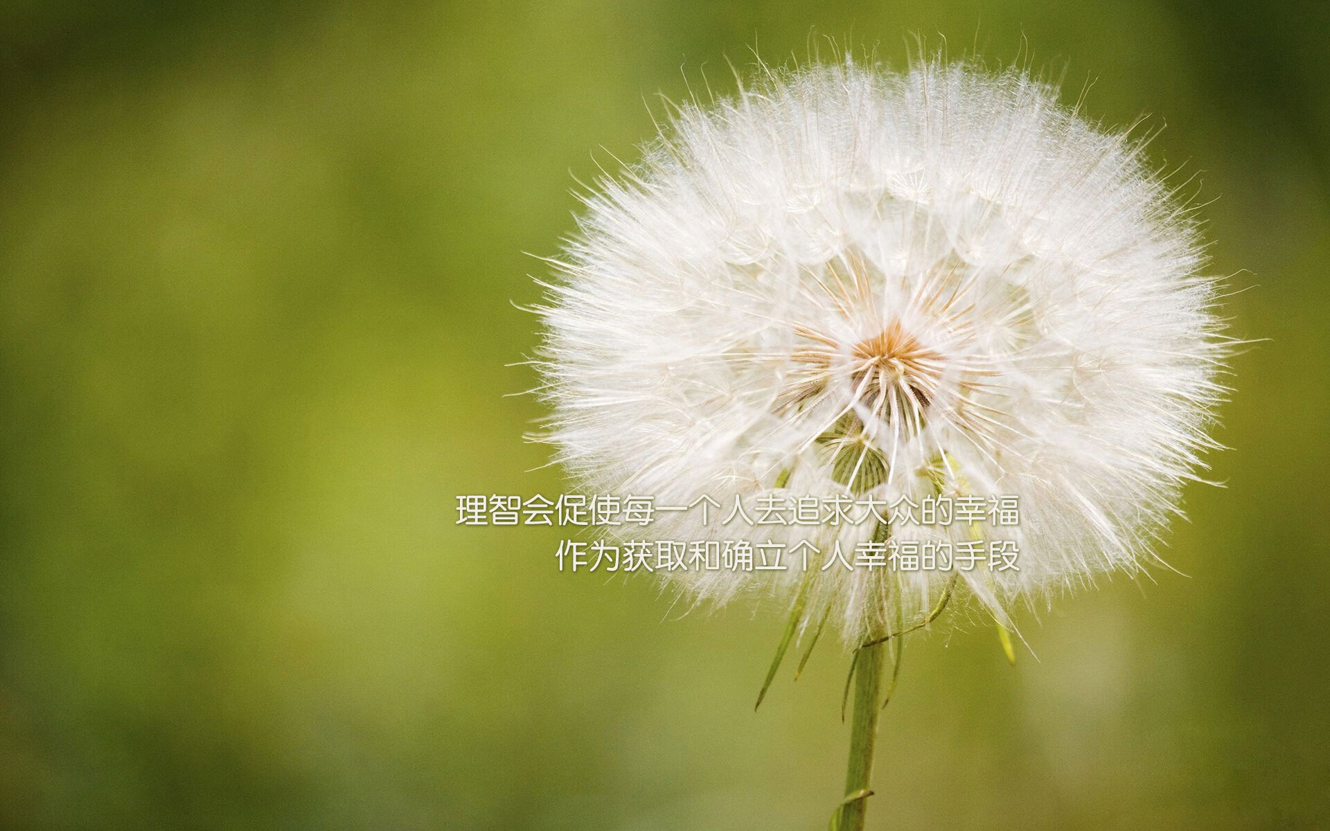 技术雷达图展现男子100自优势，雷达技术百科全书