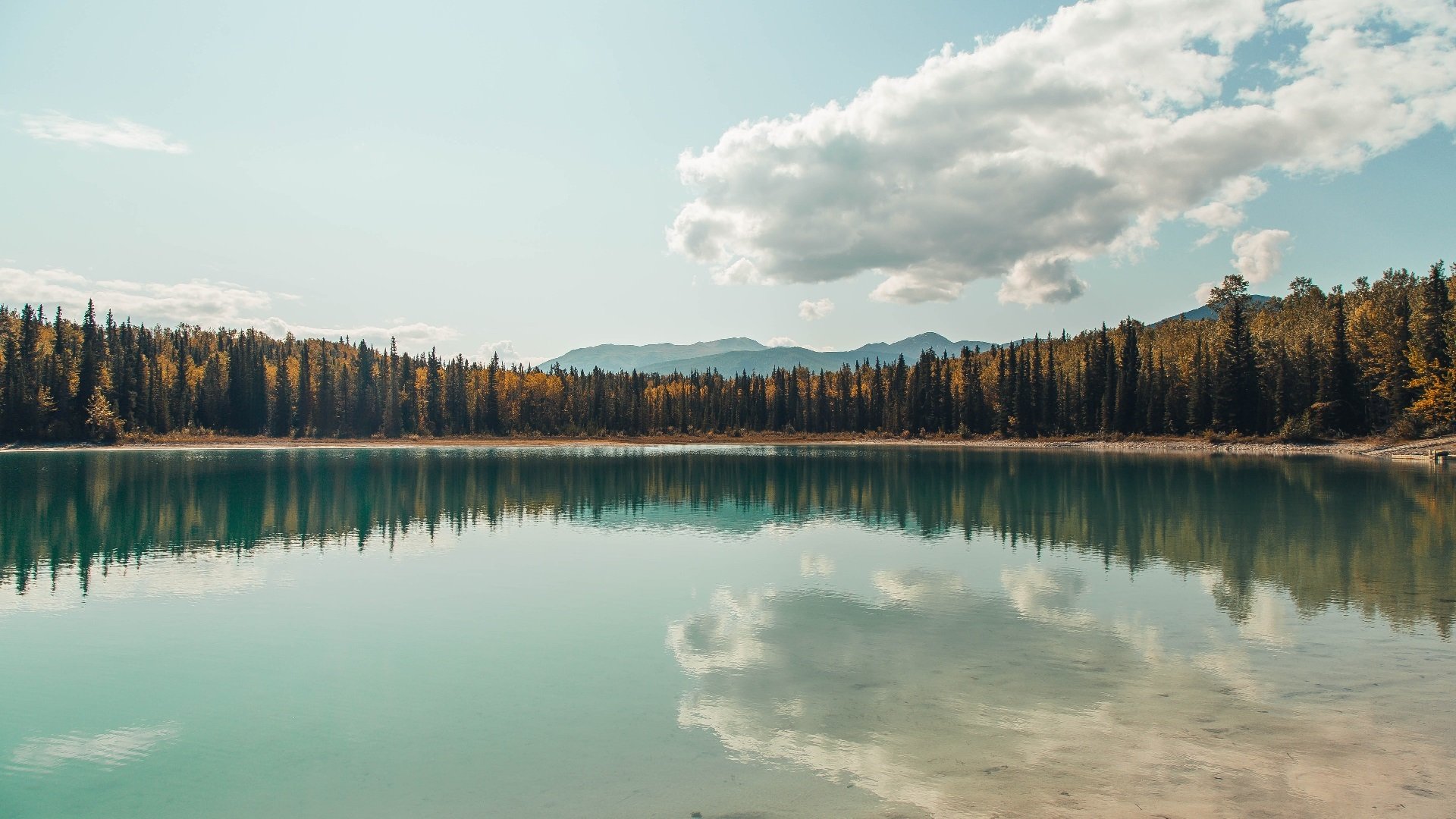 乐鱼体育App下载-混合泳预赛德国队战术安排合理，混合泳决赛视频