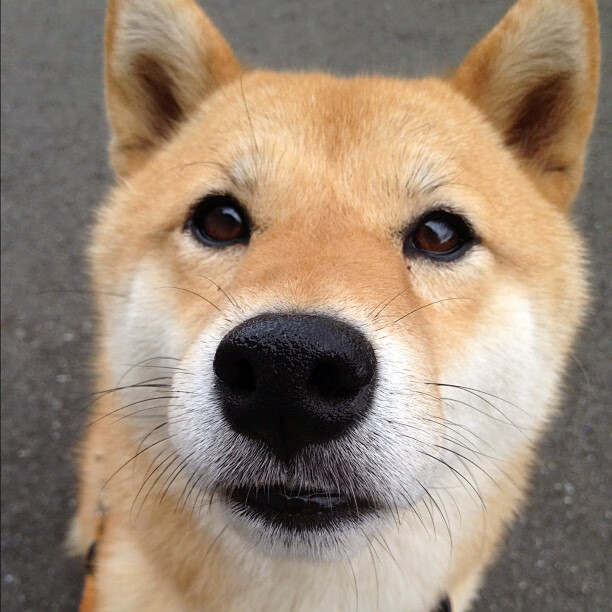 球员心理疏导过于依赖赛后总结，球员心理疏导过于依赖赛后总结的原因