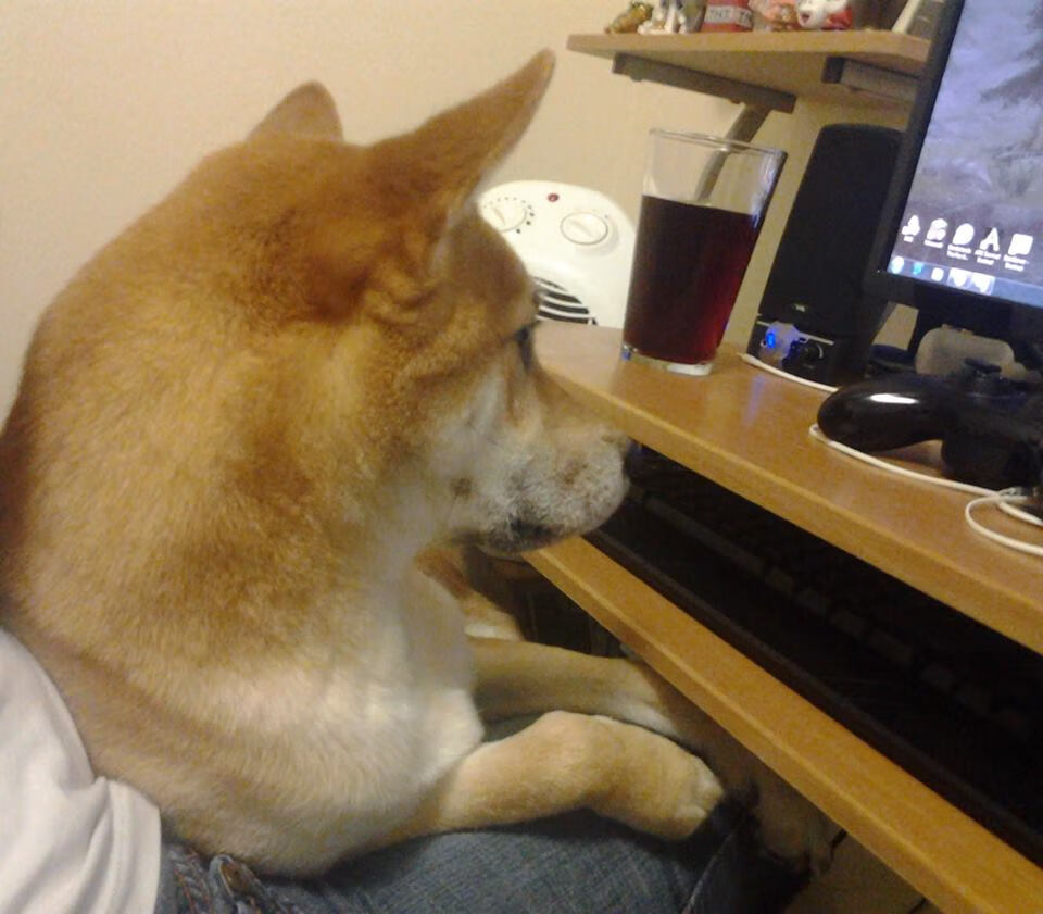 都灵稳健控球战术令对手无从下手，都灵球迷