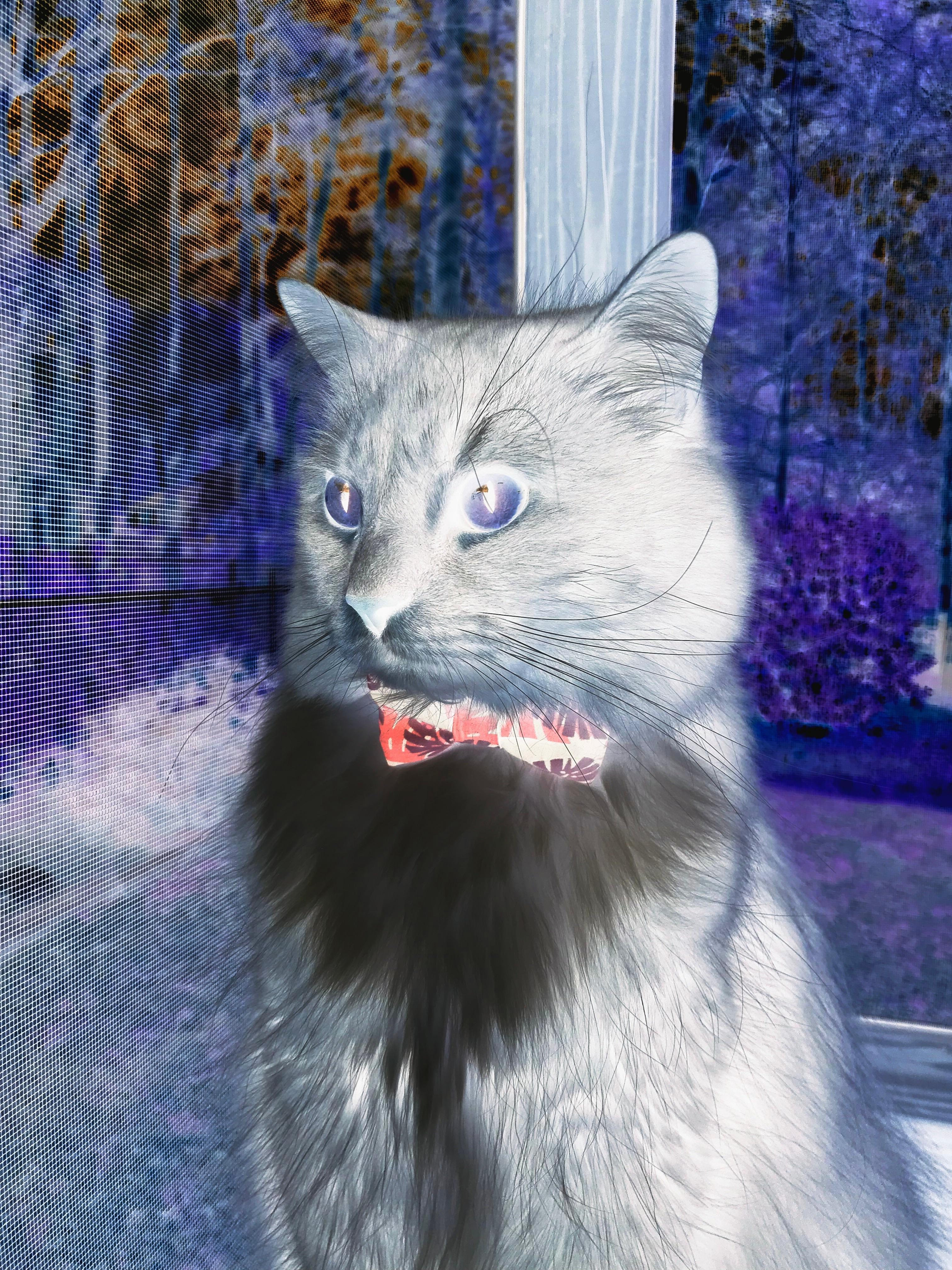 乐鱼电竞-青年选手首次入围决赛圈，青3选手年龄