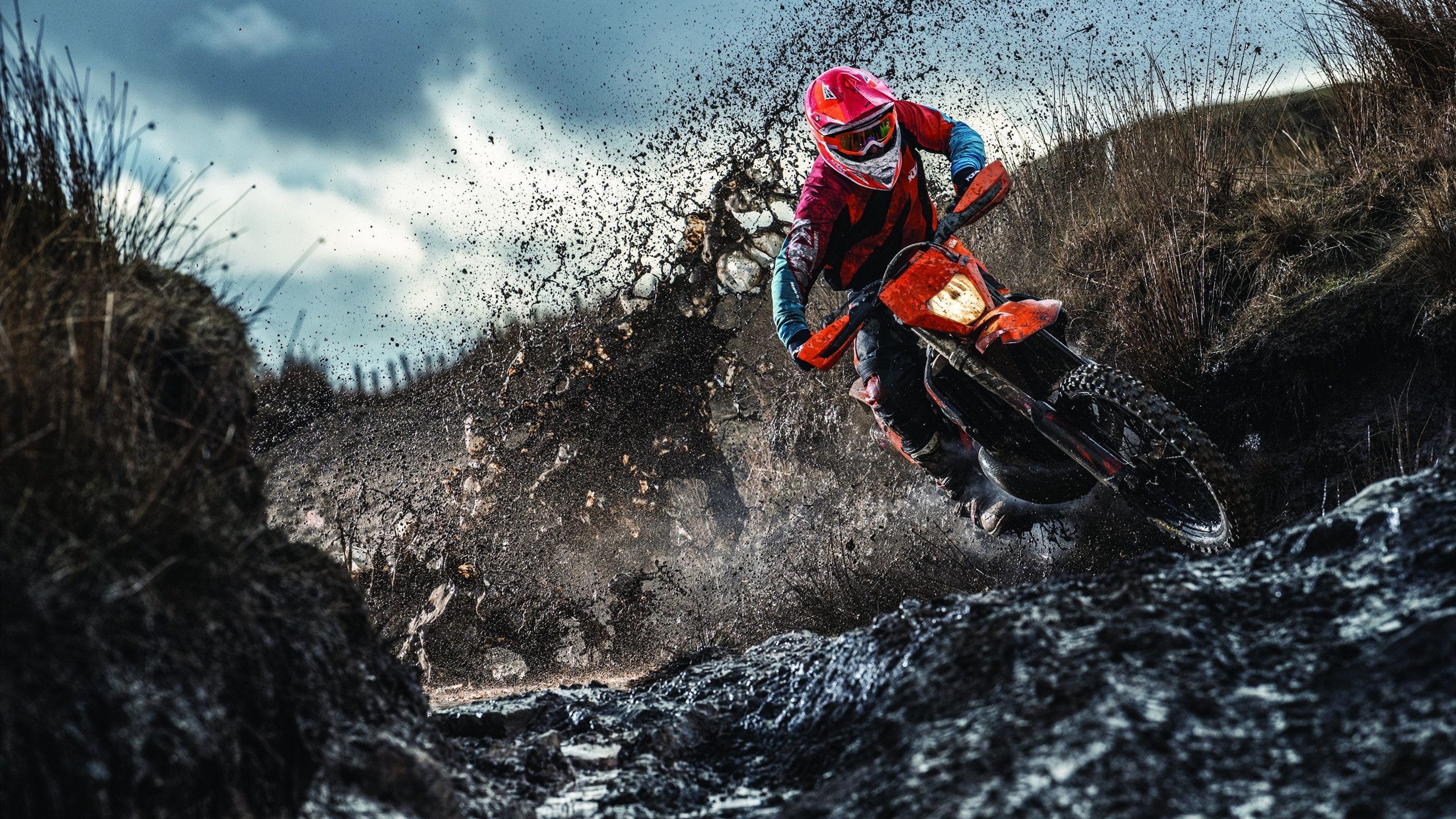 APP下载 LY Sports-仰泳项目比利时选手节奏稳定，仰泳 backstroke 2017